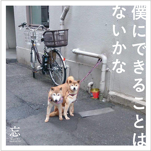 忘れらんねえよ / 僕にできることはないかな【通常盤】【CD】