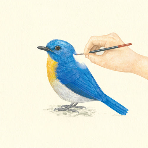 福耳 / シンガーとソングライター 〜COIL 20th Anniversary〜【CD】