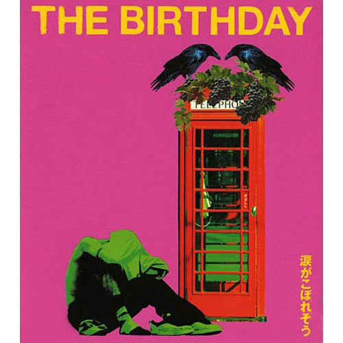 The Birthday / 涙がこぼれそう【CD Maxi】