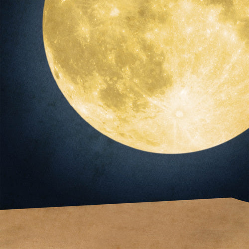 ナオト・インティライミ / まんげつの夜【通常盤】【CD MAXI】