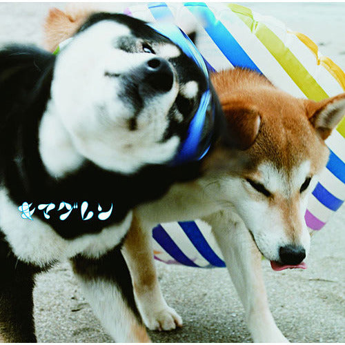 キマグレン / ALIVE【初回限定盤】【CD】【+DVD】