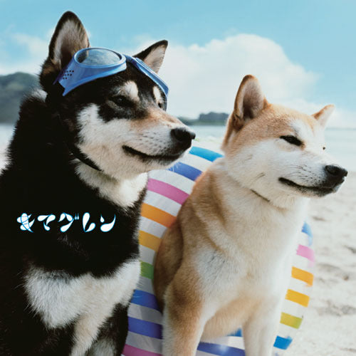 キマグレン / ALIVE【CD】【SHM-CD】