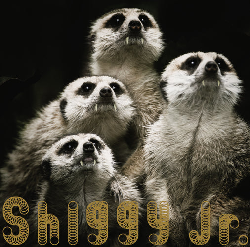Shiggy Jr. / GHOST PARTY【初回限定盤】【CD MAXI】【+DVD】