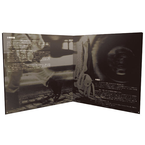 ヴァリアス・アーティスト / ACE COMBAT ZERO THE BELKAN WAR ORIGINAL SOUNDTRACK 2LP SET【アナログ】