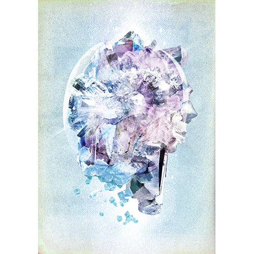 RADWIMPS / RADWIMPS Live & Document 2014「×と○と君と」【通常盤】【DVD】