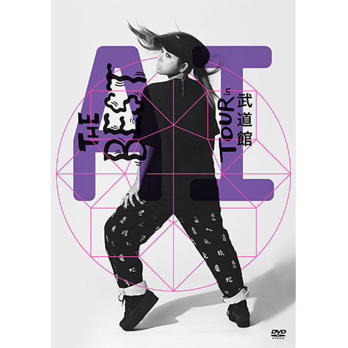 AI / THE BEST TOUR【DVD】