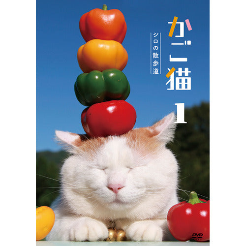 かご猫 / かご猫1 シロの散歩道【DVD】