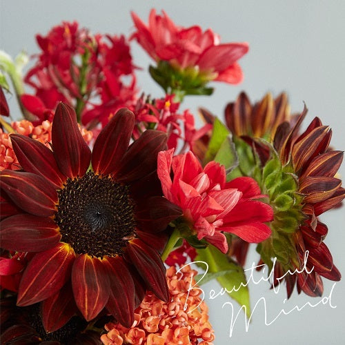 村上佳佑 / Beautiful Mind【通常盤】【CD】