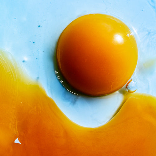 RADWIMPS / あにゅー【通常盤】【CD】