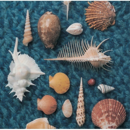 スピッツ / CYCLE HIT 1991-1997 Spitz Complete Single Collection【通常盤】【CD】