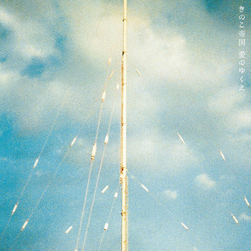 きのこ帝国 / 愛のゆくえ【初回限定盤】【CD】【+DVD】