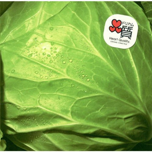 DREAMS COME TRUE / 何度でも【CD MAXI】