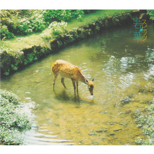 スピッツ / 若葉【CD MAXI】