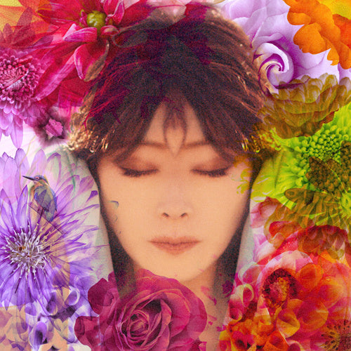 中森明菜 / FIXER【初回限定盤】【CD】【+DVD】
