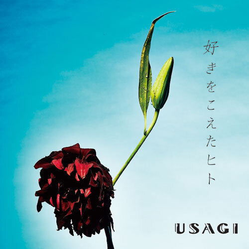USAGI / 好きをこえたヒト【CD MAXI】