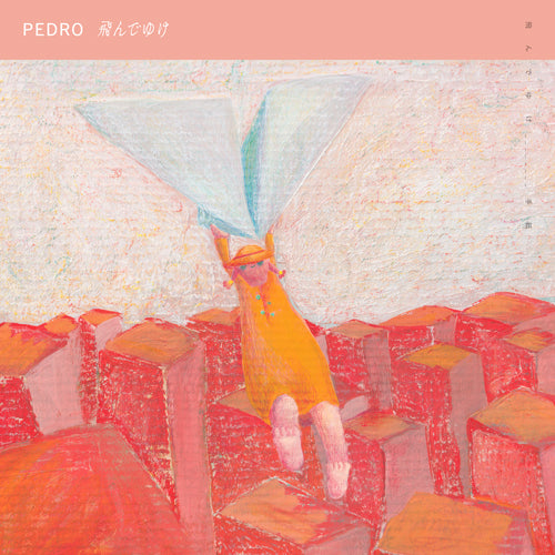 PEDRO / 飛んでゆけ【映像付通常盤】【CD MAXI】【+DVD】