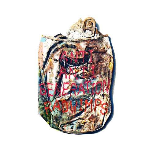 RADWIMPS / ANTI ANTI GENERATION【アナログ盤】【限定生産品】【アナログ】