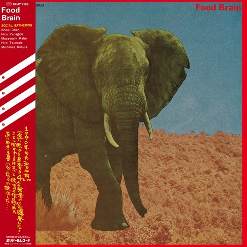 フード・ブレイン / 晩餐【アナログ】