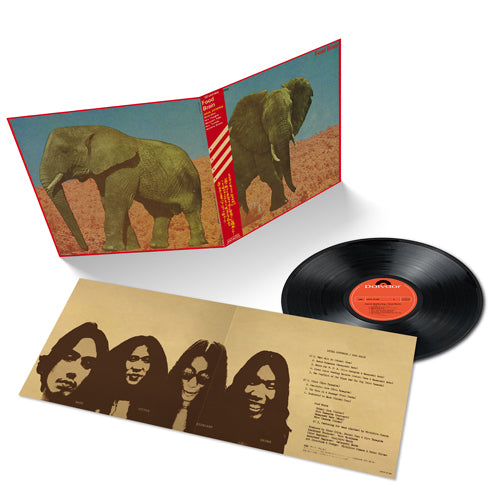 フード・ブレイン / 晩餐【アナログ】