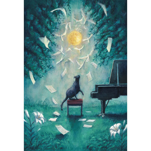 ヨルシカ / ヨルシカ LIVE 「月と猫のダンス」【Blu-ray初回限定盤】【Blu-ray】