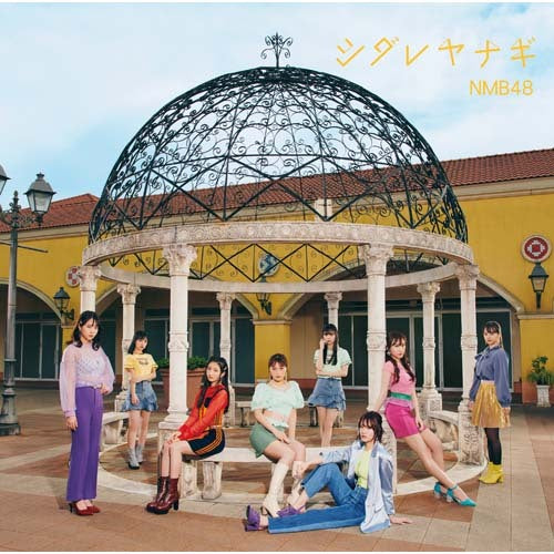 NMB48 / シダレヤナギ【通常盤Type-C】【CD MAXI】【+DVD】