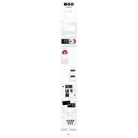 BTS アルバム アリラン デラックス Vinylレコード Color Ver. BTS The 5th Album 'ARIRANG' (Deluxe Vinyl - Color Ver.) - Official