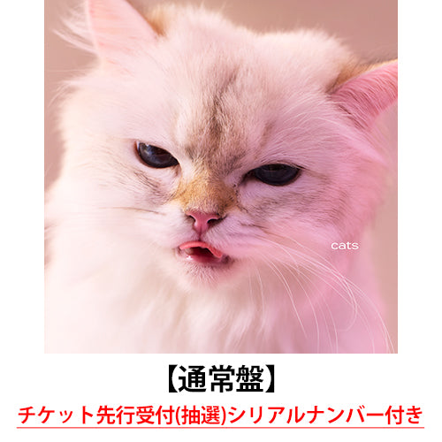 My Hair is Bad / cats【通常盤】【チケット先行受付(抽選)シリアルナンバー付き】【CD】