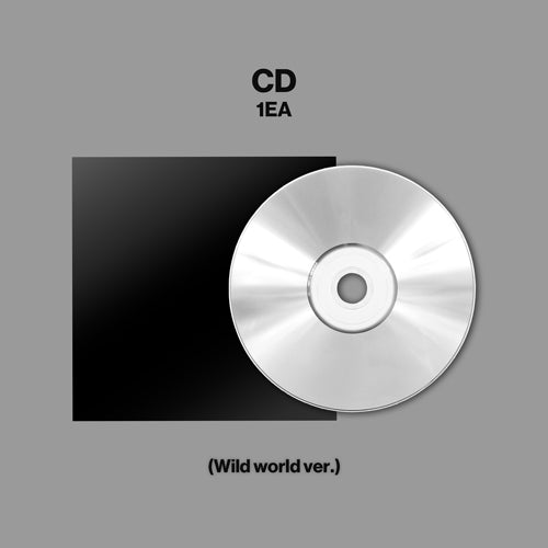国内貴重盤、輸入盤含むHeart CDセット KATSEYE / WILD【UNIVERSAL MUSIC STORE限定盤単品ランダム】【直輸入