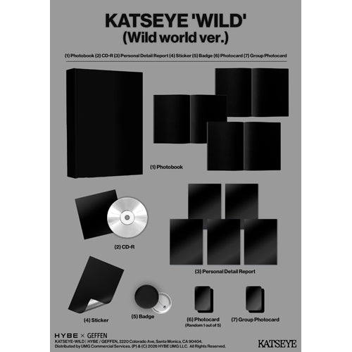 国内貴重盤、輸入盤含むHeart CDセット KATSEYE / WILD【通常盤単品ランダム】【直輸入盤/国内仕様】【CD