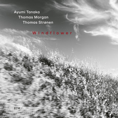 田中鮎美、トーマス・モーガン、トーマス・ストレーネン / ウィンドフラワー【CD】【SHM-CD】