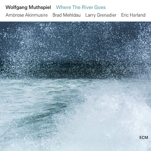 ウォルフガング・ムースピール / ホエア・ザ・リヴァー・ゴーズ【CD】【UHQCD】