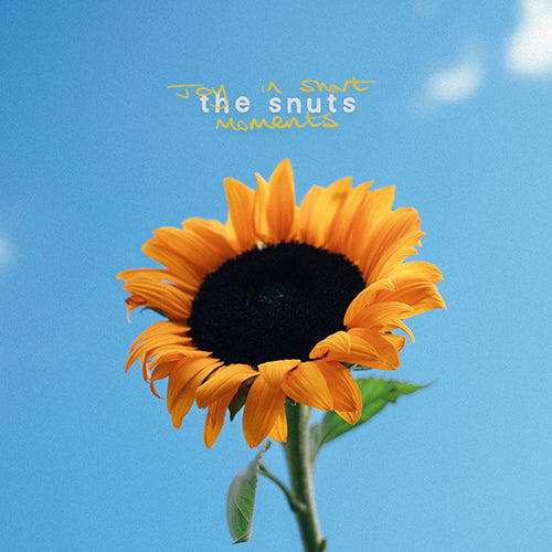 The Snuts / Joy In Short Moments【CD】【SHM-CD】