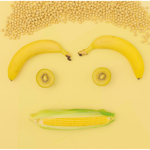 松室政哉 / Singin’ in the Yellow【CD】【DVD】