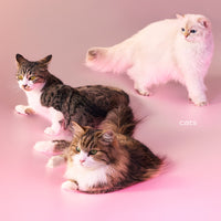 upch29514_200x200.jpg?v=1788320267