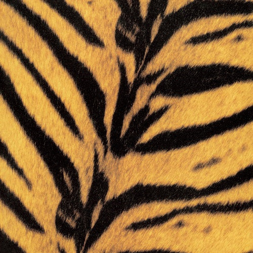 THE HIGH-LOWS / Tigermobile【アナログ】