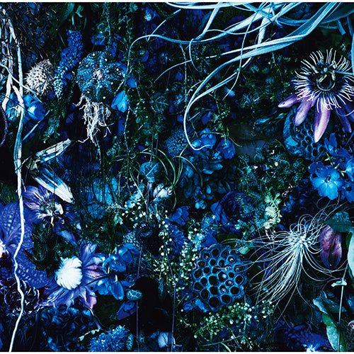 SUGIZO / ONENESS M【初回生産限定盤】【180グラム重量盤 (2LP)】【アナログ】