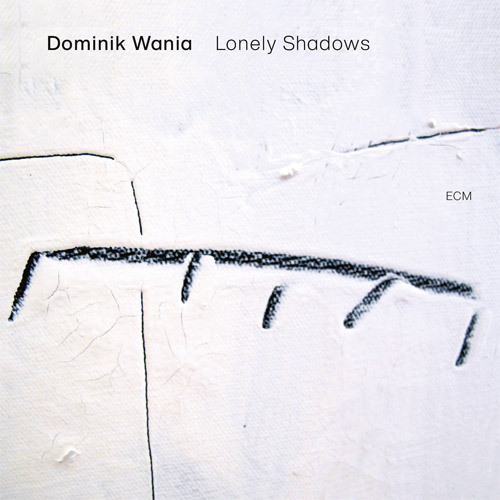 ドミニク・ワニア / Lonely Shadows【直輸入盤】【180g重量盤LP】【アナログ】