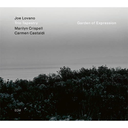 ジョー・ロヴァーノ / Garden of Expression【直輸入盤】【CD】