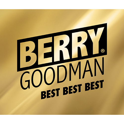 ベリーグッドマン / BEST BEST BEST【初回限定盤】【CD】【+DVD】