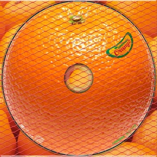 GReeeeN / オレンジ【CD MAXI】