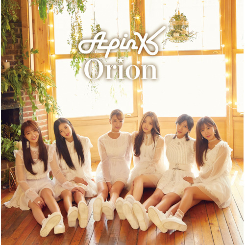 Apink / Orion【初回生産限定盤C】【ピクチャーレーベル仕様】【ウンジVer.】【CD MAXI】