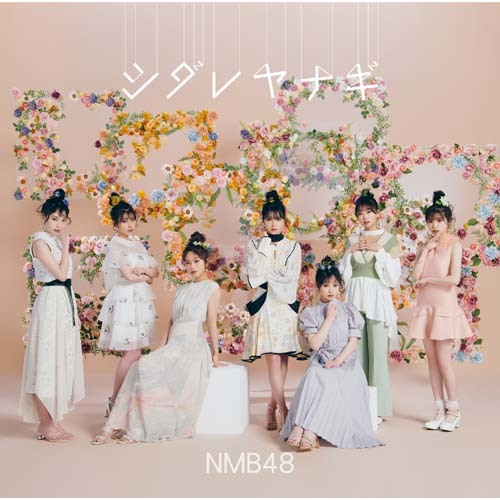NMB48 / シダレヤナギ【通常盤Type-A】【CD MAXI】【+DVD】