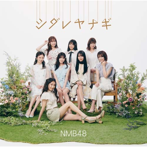 NMB48 / シダレヤナギ【通常盤Type-B】【CD MAXI】【+DVD】