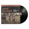 マーカス・キング・バンド / Soul Insight【直輸入盤】【180g重量盤2LP】【アナログ】