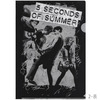ファイヴ・セカンズ・オブ・サマー / 5 Seconds Of Summer A4 File Folders Pack【A4サイズ】